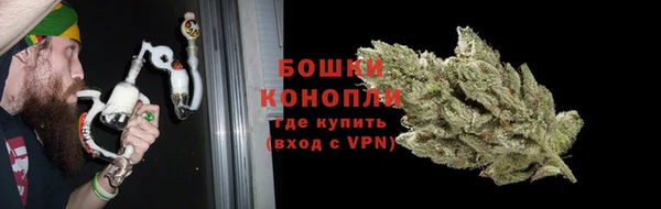 PSILOCYBIN Богородицк